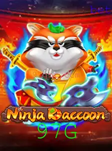 Descubra o Mundo Vibrante de NinjaRaccoon